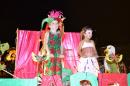 Primera noche de corsos 2014 en Yapey
