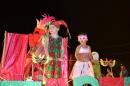 Primera noche de corsos 2014 en Yapey