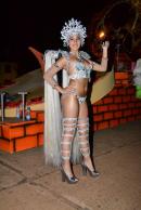 Primera noche de corsos 2014 en Yapey