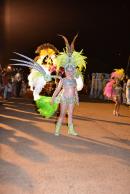 Primera noche de corsos 2014 en Yapey