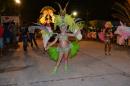 Primera noche de corsos 2014 en Yapey