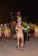 Primera noche de corsos 2014 en Yapey