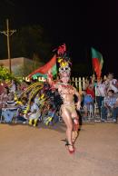 Primera noche de corsos 2014 en Yapey