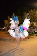 Primera noche de corsos 2014 en Yapey