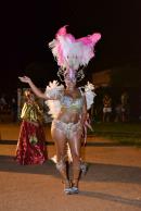 Primera noche de corsos 2014 en Yapey