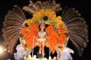 Primera noche de corsos 2014 en Yapey