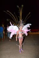 Primera noche de corsos 2014 en Yapey